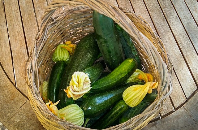 Antico Casale Farm Stay in Sorrento- zucchini